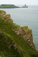 Gower